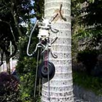 Tree climbing robot