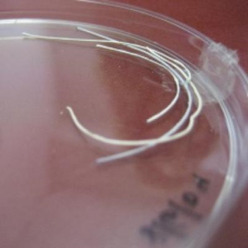 Composite drug-releasing fibers that can be used as dissolvable wound dressings