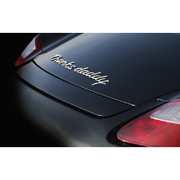 Customize give your Porsche by giving it its own identity and a unique name