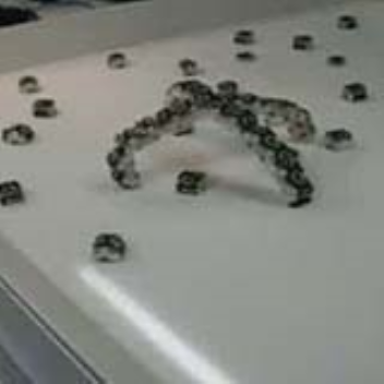 Tiny robots that can self-assemble