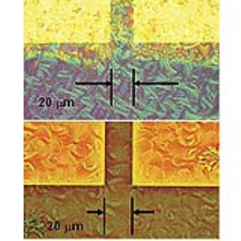 Organic transistors which self-assemble