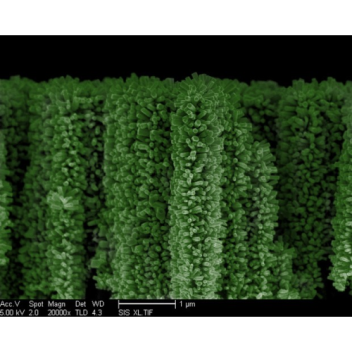 Solar
energy-harvesting “nanotrees”