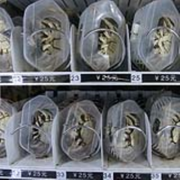 Buy live hairy crabs out of a vending machine