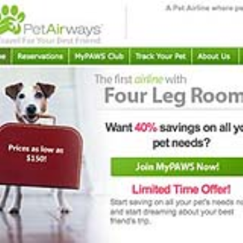 Commercial airline for flying your pets