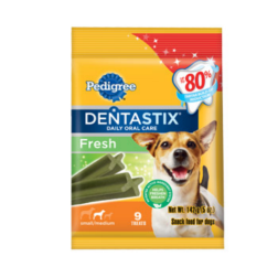 Oral Care For Adult Dogs