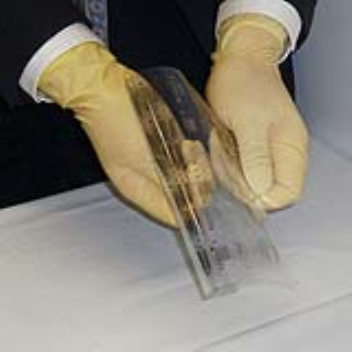 Flexible display  created with microcontact printing