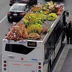 Living garden on bus rooftop to add some rolling green to city streets