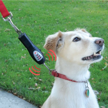 Collar with ultrasonic dog training whistle