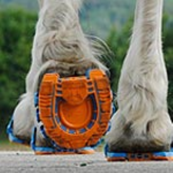 Clip-On Horseshoes