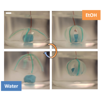 ‘Soft Robotic’ Devices Using Water-Based Gels