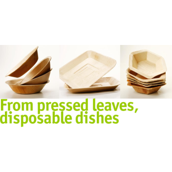 Single-use dinnerware made from pressed fallen leaves