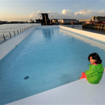 Swimming pool boat