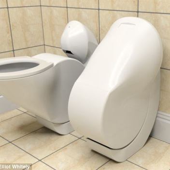 Fold Up Toilet