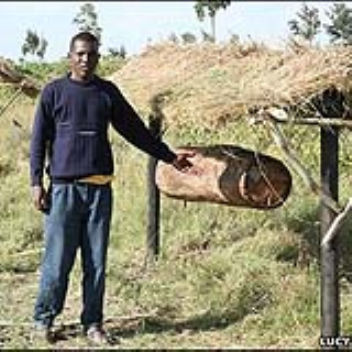 Fence made of wood, wire and beehives can help fend off elephants