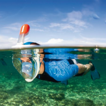 Full Face Snorkeling Mask