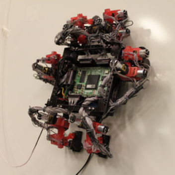 Wall-Climbing, Gecko Robot