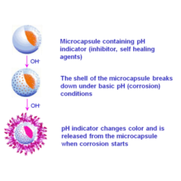 PH sensitive microcapsule concept