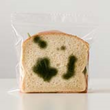 Lunch bags with green mold