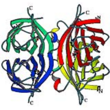 Single-molecule sensors