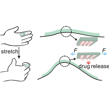 Patch Releases Drugs When Stretched