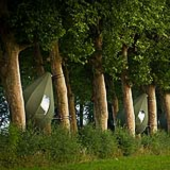 Tear shaped tree tent