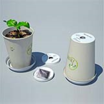 Coffee cup with seeds and fertilizer