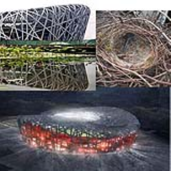 Olympic stadium in Beijing inspired by a bird's nest