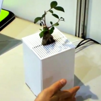 Interactive plants react and convey emotions