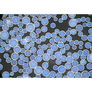 Microscopic polymer beads that change color instantly and reversibly when external magnetic fields acting upon the microspheres change orientation