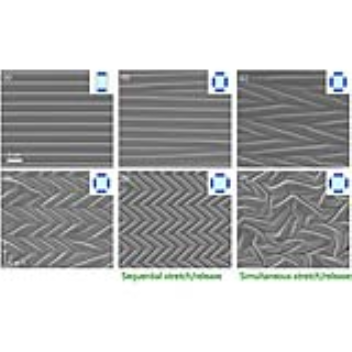 Crystalline material which may aid in the diagnosis of brain trauma