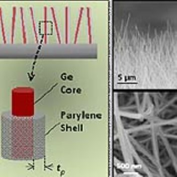 Nanowire forests get sticky