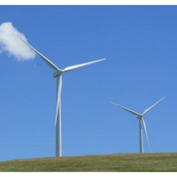 Chinese researchers have developed a biologically inspired control system for wind turbines