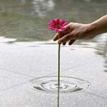 The floating ripple vases creates a surreal sight.